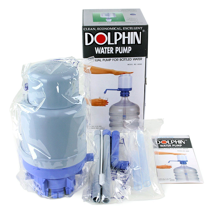 dolphin8080
